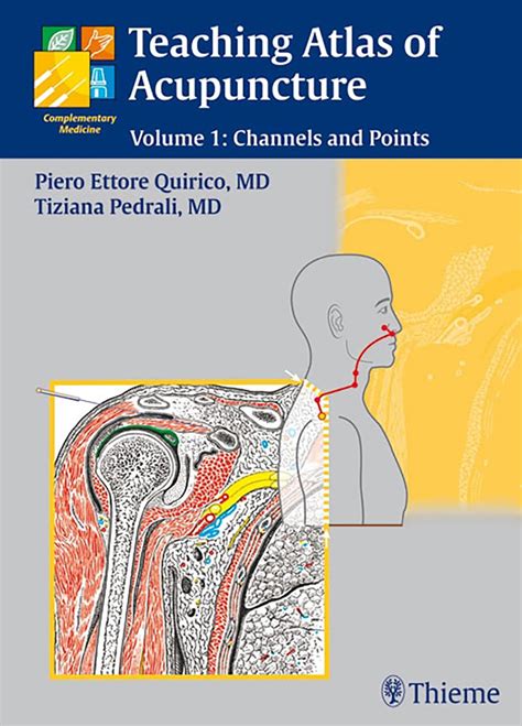 teaching atlas of acupuncture channels and points v 1 PDF