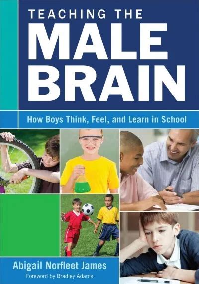 teaching the male brain how boys think feel and learn in school Doc