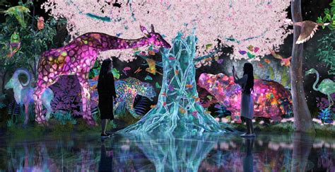 teamLab 未來公園：技術與藝術的交融