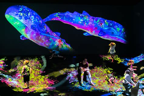 teamlab future park