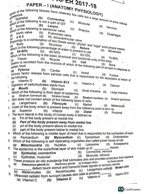 technician 1 past papers Epub