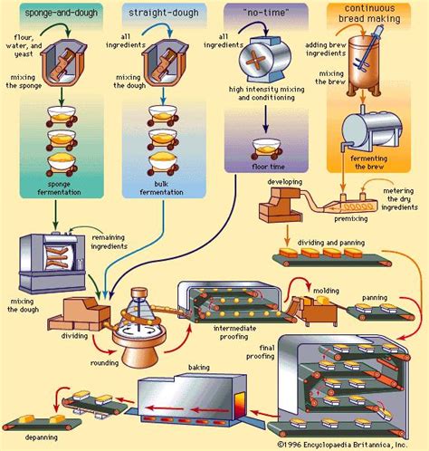 technology of breadmaking technology of breadmaking Reader