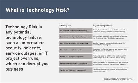 technology risk manager