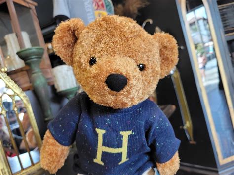 teddy character harry potter