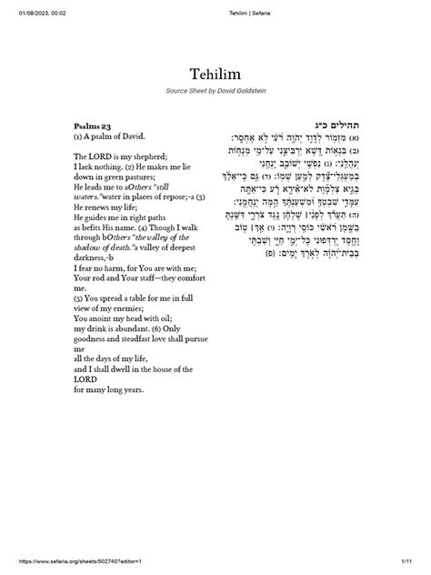 tehilim download pdf Reader