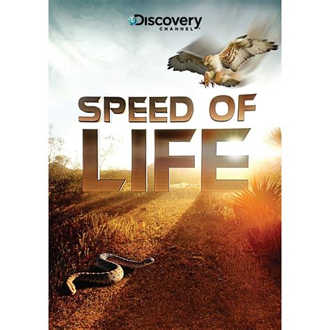 telecharger art at speed of life PDF