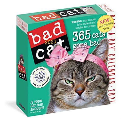 telecharger bad cat 2017 calendar livre PDF