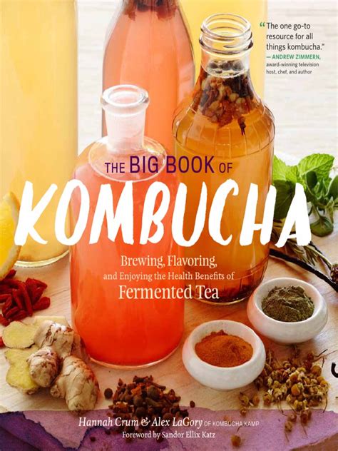 telecharger big book of kombucha Kindle Editon