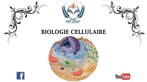 telecharger l de la biologie cellulaire 14 PDF