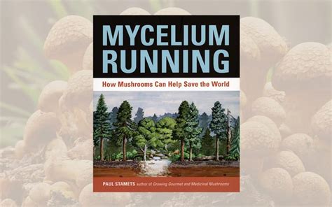 telecharger mycelium running guide to Doc