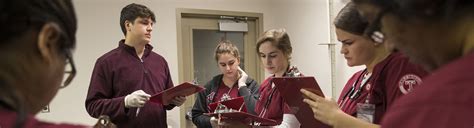 temple nursing program