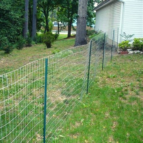 temporary wire fence for dogs