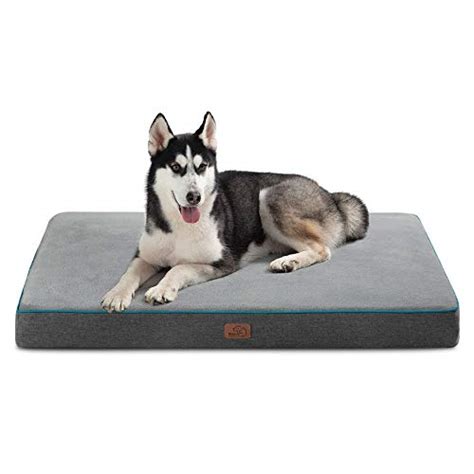 tempurpedic dog bed