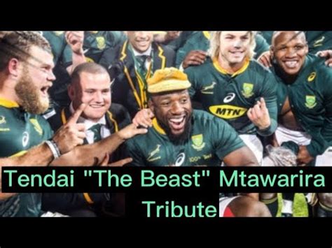 tendai mtawarira tribute PDF