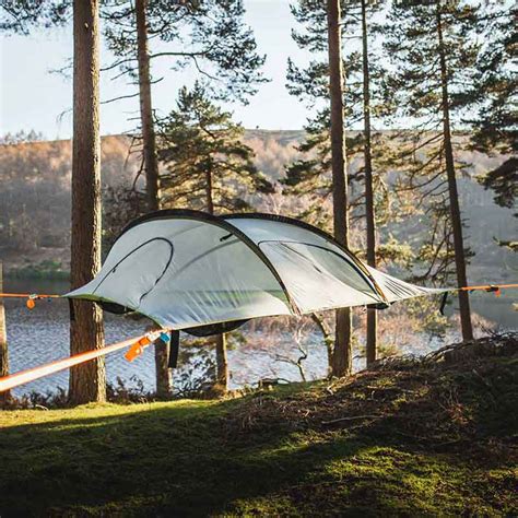 tent stingray