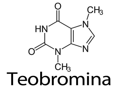 teobromina