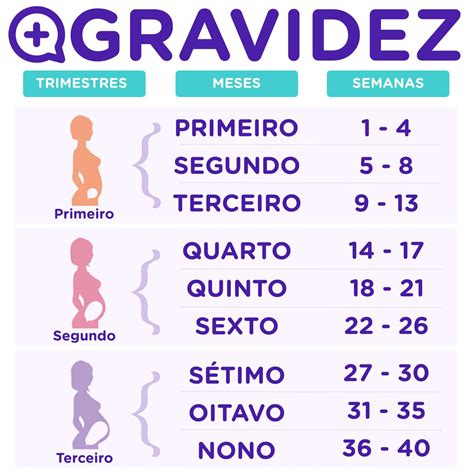 terceiro trimestre da gravidez