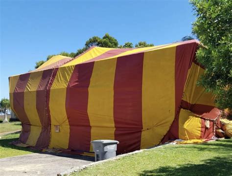 termite treatment tent