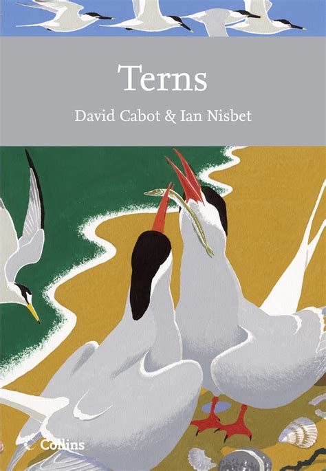 terns collins new naturalist library book 123 Kindle Editon