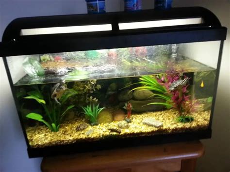 terrapin tank setup