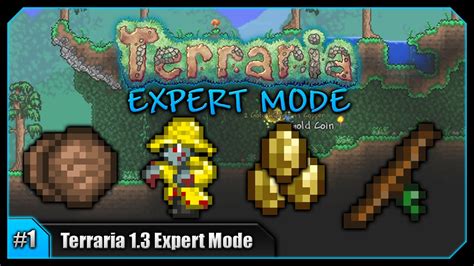 terraria expert mode