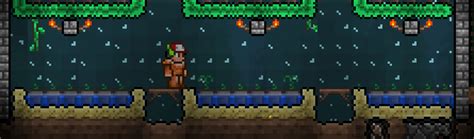 terraria waterleaf