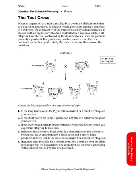 test cross enrich answers Epub