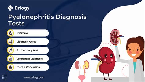 test of kidney infection