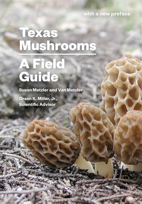 texas mushrooms a field guide corrie herring hooks series Doc