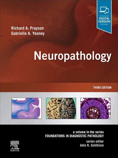 textbook of neuropathology PDF