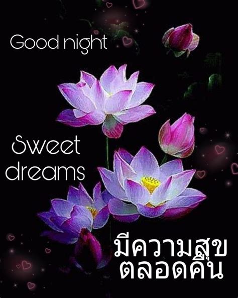 thai good night