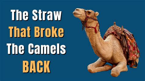 that was the straw that broke the camel's back