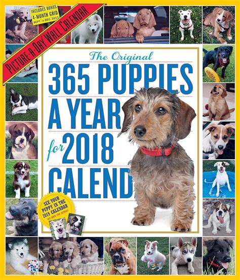 the 365 puppies a year 2015 wall calendar Epub