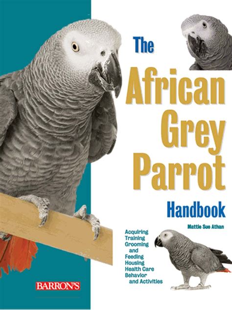 the african grey parrot handbook the african grey parrot handbook Epub