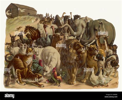 the animals came two by two the story of noahs ark PDF