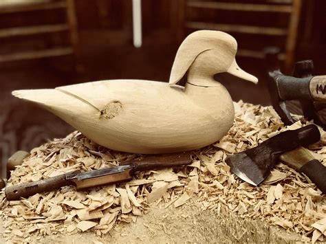 the art of the decoy american bird carvings Epub