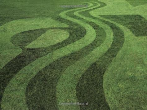 the art of the lawn mowing patterns to make your lawn a work of art PDF