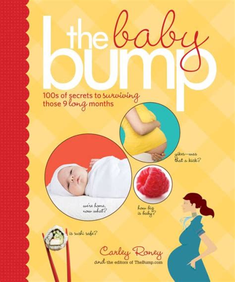 the baby bump 100s of secrets to surviving those 9 long months PDF