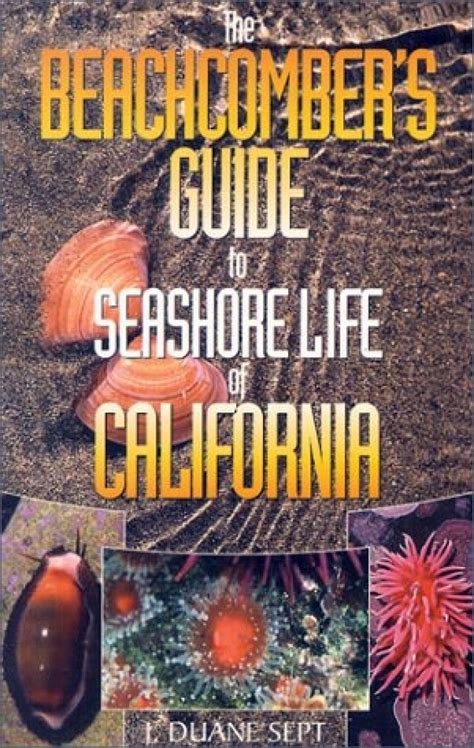 the beachcombers guide to seashore life of california Doc