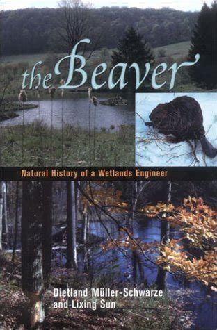 the beaver natural history of a wetlands engineer comstock books Epub