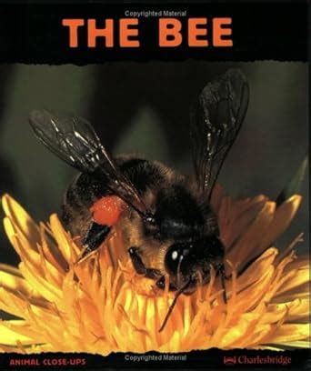 the bee friend of the flowers animal close ups series Kindle Editon