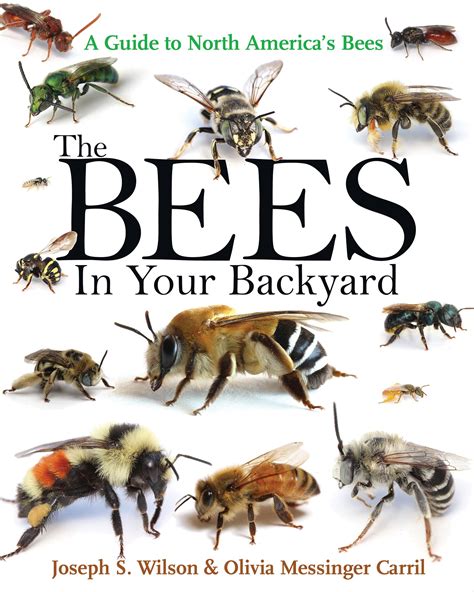 the bees in your backyard a guide to north americas bees Reader