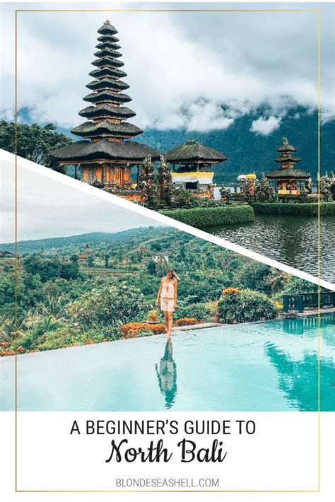 the beginners guide to bali Reader
