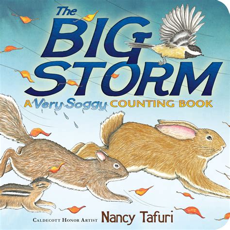 the big storm a very soggy counting book classic board books Epub