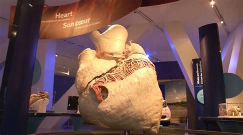 the biggest heart ever Epub