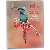 the birds of israel birdwatchs 1996 bird book of the year Epub