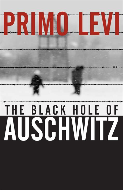 the black hole of auschwitz PDF