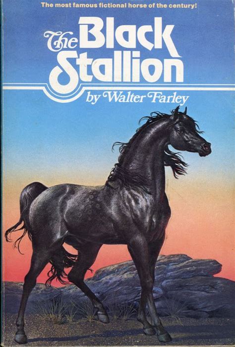 the black stallion book Reader