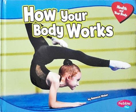 the body box see how your body works Epub