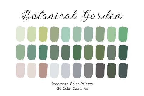 the botanical palette color for the botanical painter Doc